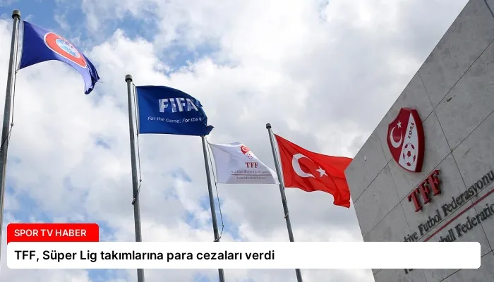 TFF, Süper Lig takımlarına para cezaları verdi