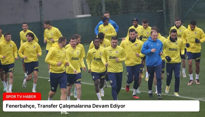 Fenerbahçe, Transfer Çalışmalarına Devam Ediyor