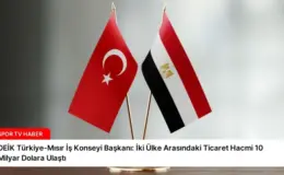 DEİK Türkiye-Mısır İş Konseyi Başkanı: İki Ülke Arasındaki Ticaret Hacmi 10 Milyar Dolara Ulaştı