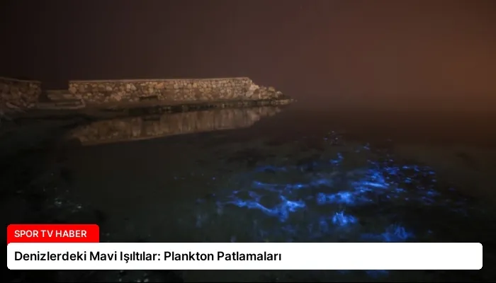 Denizlerdeki Mavi Işıltılar: Plankton Patlamaları