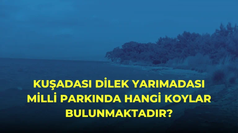 Kuşadası Dilek Yarımadası Milli Parkında Hangi Koylar Bulunmaktadır?