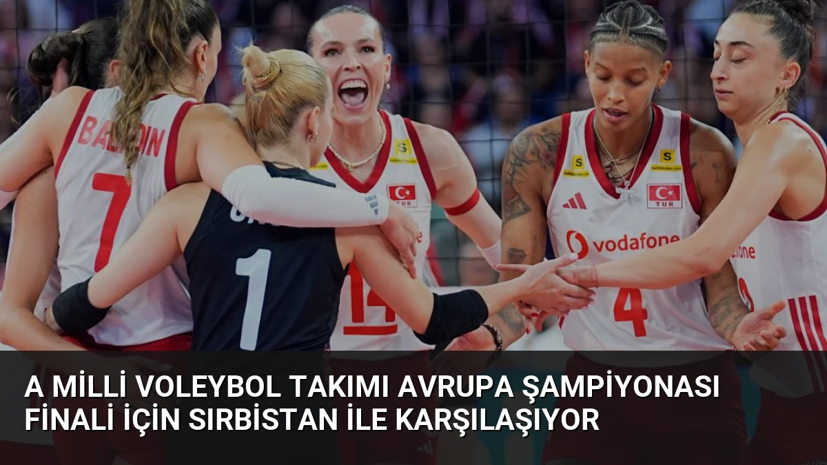 A Milli Voleybol Takımı Avrupa Şampiyonası Finali İçin Sırbistan ile Karşılaşıyor